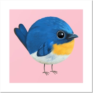 Blue flycatcher bird Posters and Art